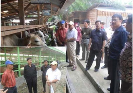 Kunjungan Kerja Dirjen Peternakan dan Kesehatan Hewan ke Provinsi Jambi